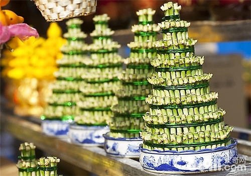 富贵竹有多少个品种？