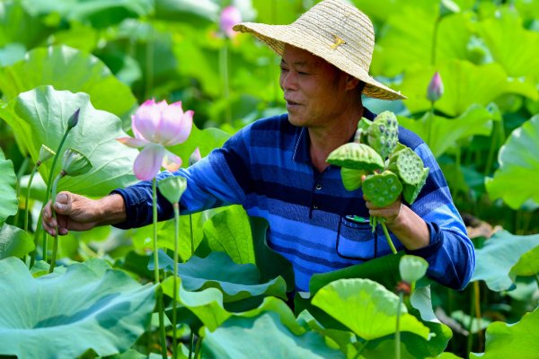 朱自清的《荷塘月色》原文