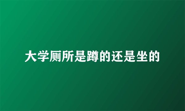 大学厕所是蹲的还是坐的