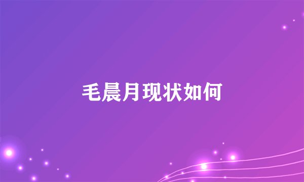 毛晨月现状如何