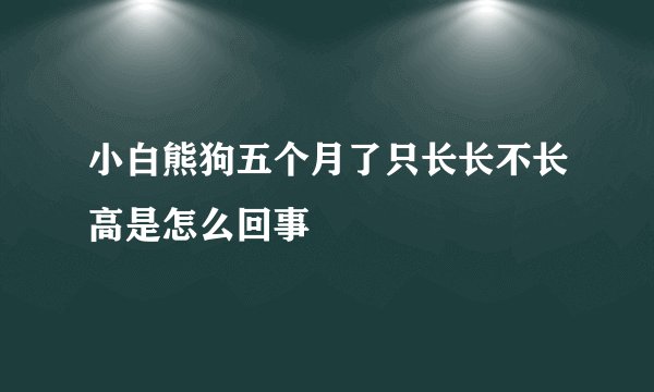 小白熊狗五个月了只长长不长高是怎么回事