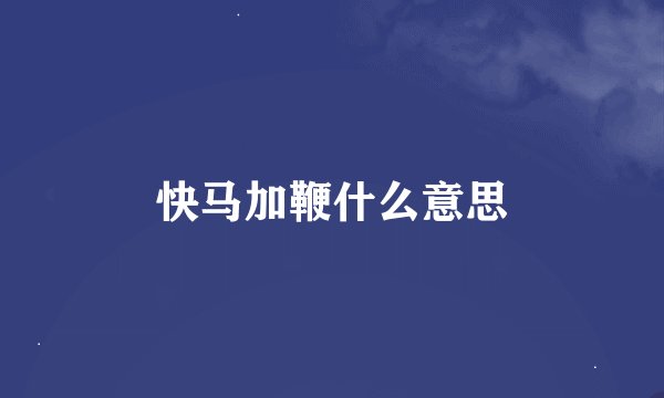 快马加鞭什么意思