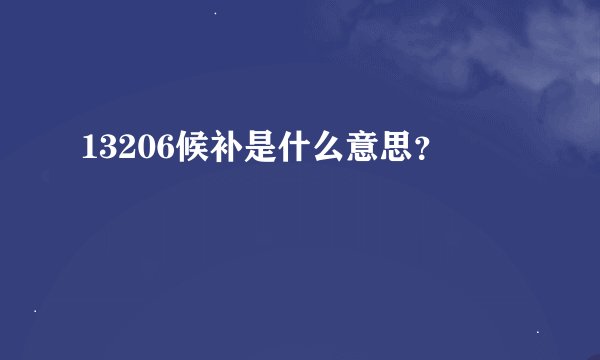 13206候补是什么意思？