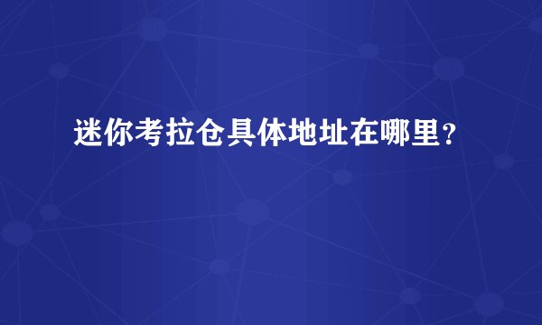 迷你考拉仓具体地址在哪里？