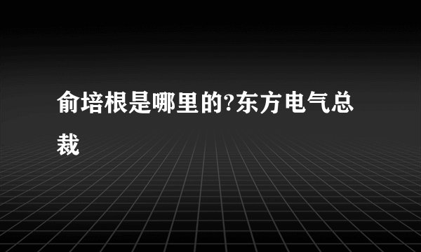 俞培根是哪里的?东方电气总裁