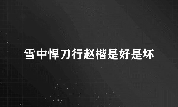 雪中悍刀行赵楷是好是坏