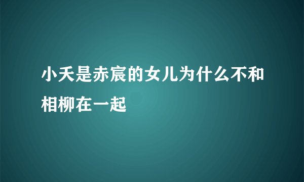 小夭是赤宸的女儿为什么不和相柳在一起