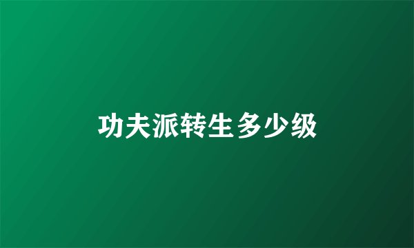 功夫派转生多少级
