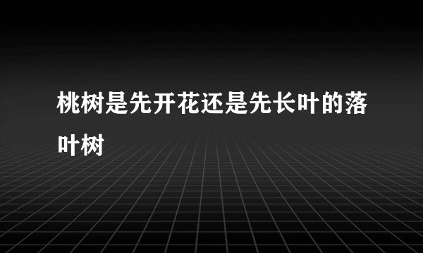 桃树是先开花还是先长叶的落叶树