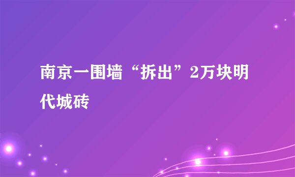 南京一围墙“拆出”2万块明代城砖