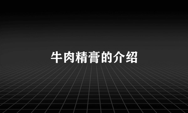 牛肉精膏的介绍