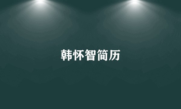 韩怀智简历