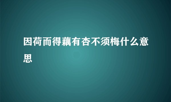 因荷而得藕有杏不须梅什么意思