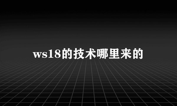 ws18的技术哪里来的