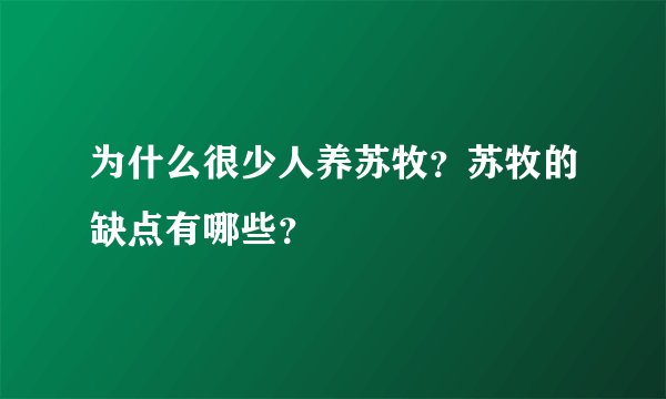 为什么很少人养苏牧？苏牧的缺点有哪些？