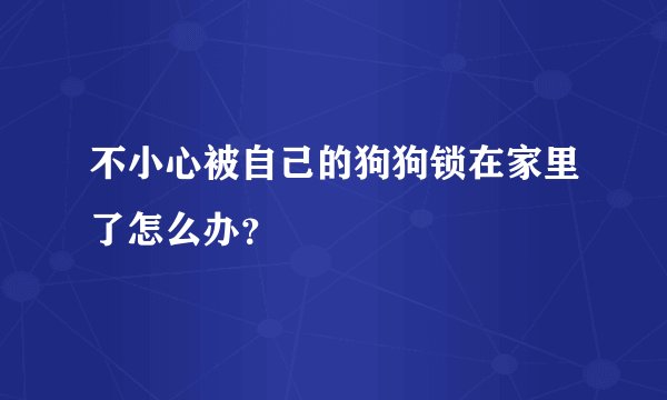 不小心被自己的狗狗锁在家里了怎么办?