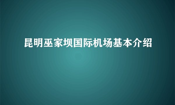 昆明巫家坝国际机场基本介绍