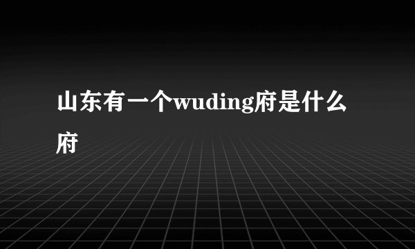 山东有一个wuding府是什么府