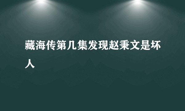 藏海传第几集发现赵秉文是坏人