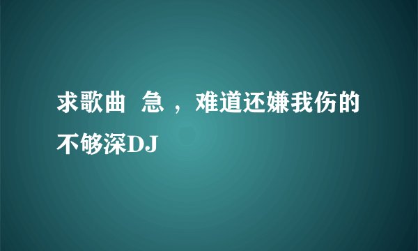求歌曲  急 ，难道还嫌我伤的不够深DJ