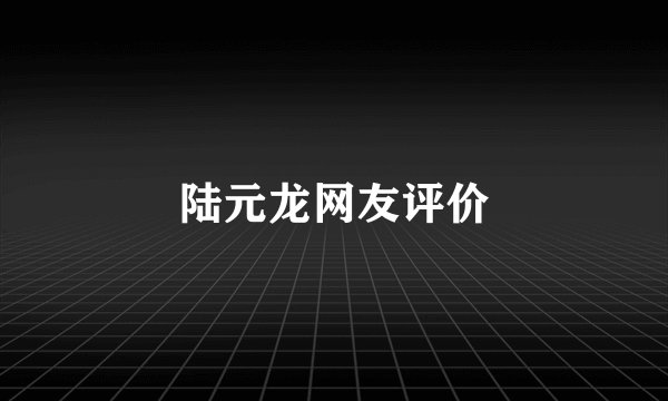 陆元龙网友评价