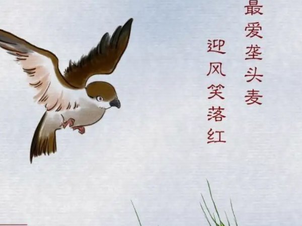 小满最美的十首诗词
