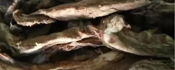 真实的食人事件!云南连环失踪案,17人遇害,食人狂魔张永明因一细节露馅被捕