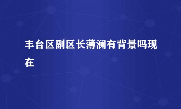 丰台区副区长薄澜有背景吗现在