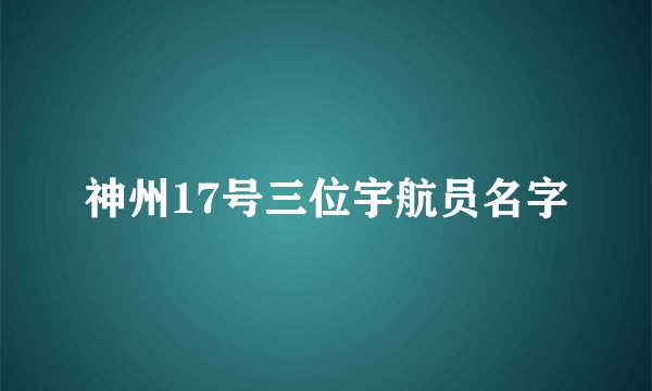 神州17号三位宇航员名字