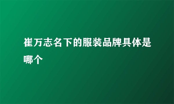 崔万志名下的服装品牌具体是哪个