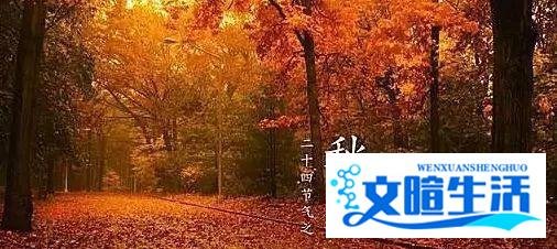 秋分节气祝福问候语 唯美简短的秋分文案