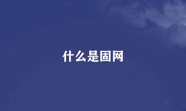 什么是固网