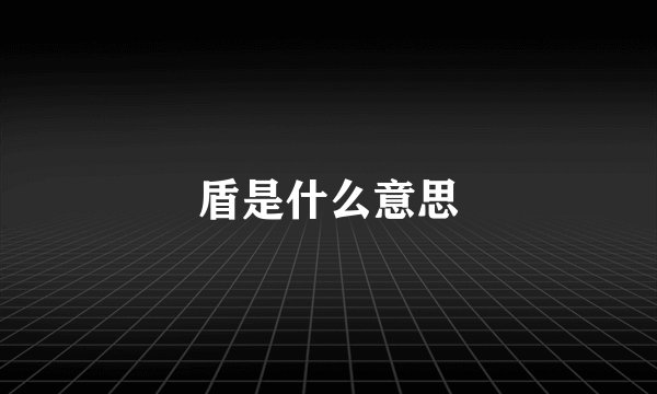 盾是什么意思