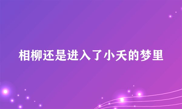 相柳还是进入了小夭的梦里