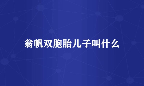 翁帆双胞胎儿子叫什么