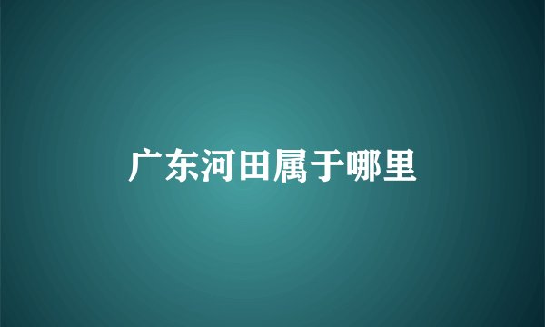 广东河田属于哪里