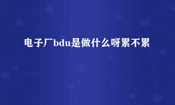 电子厂bdu是做什么呀累不累