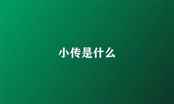 小传是什么