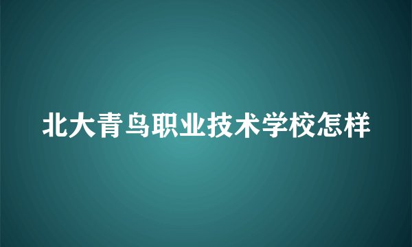 北大青鸟职业技术学校怎样