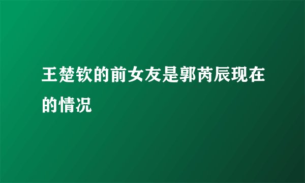 王楚钦的前女友是郭芮辰现在的情况