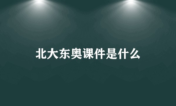 北大东奥课件是什么