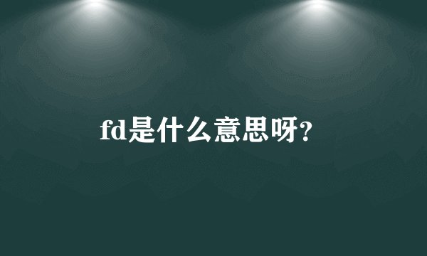 fd是什么意思呀？