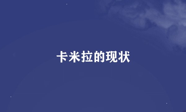 卡米拉的现状