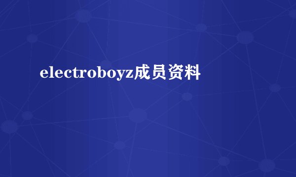 electroboyz成员资料
