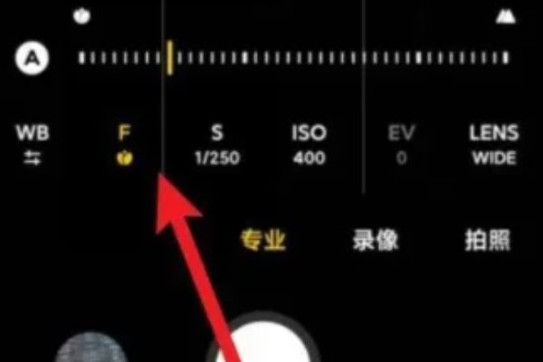 小米10怎么专业模式拍月亮?