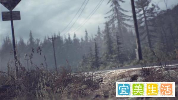 《女巫布莱尔》评测:毛骨悚然的心灵恐惧体验!