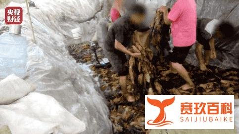 从全民抵制到重新上架，老坛酸菜牛肉面为何还能翻身？