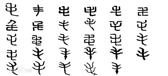 有哪些字是毛字旁的?