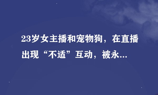 23岁女主播和宠物狗，在直播出现“不适”互动，被永久封禁！