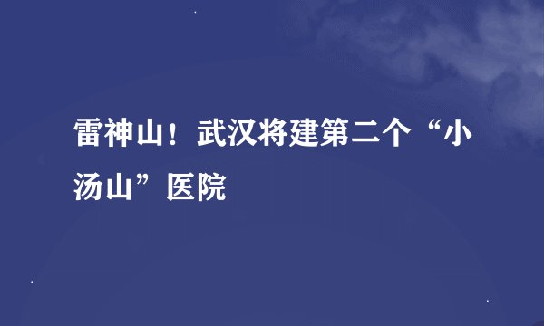 雷神山！武汉将建第二个“小汤山”医院